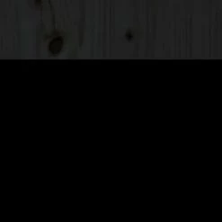 VidaXL Tête de lit Noir 81x4x100 cm Bois massif de pin -Têtes et pieds de lit Soldes image 5 814173